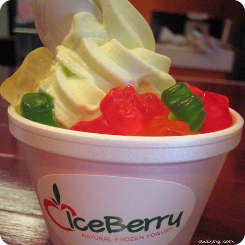 iceberry4