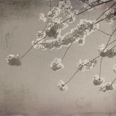 Meiji Era Photos